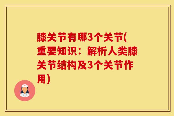 膝关节有哪3个关节(重要知识：解析人类膝关节结构及3个关节作用)
