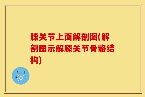 膝关节上面解剖图(解剖图示解膝关节骨骼结构)