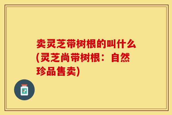 卖灵芝带树根的叫什么(灵芝尚带树根：自然珍品售卖)