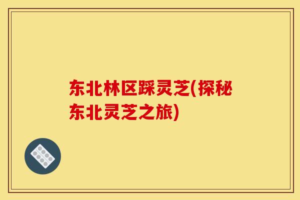 东北林区踩灵芝(探秘东北灵芝之旅)