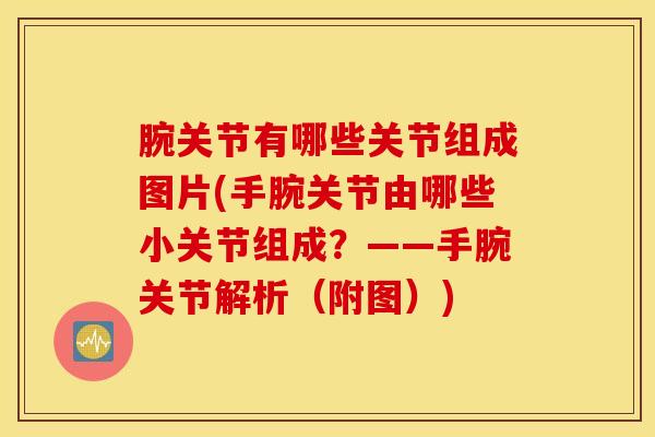 腕关节有哪些关节组成图片(手腕关节由哪些小关节组成？——手腕关节解析（附图）)