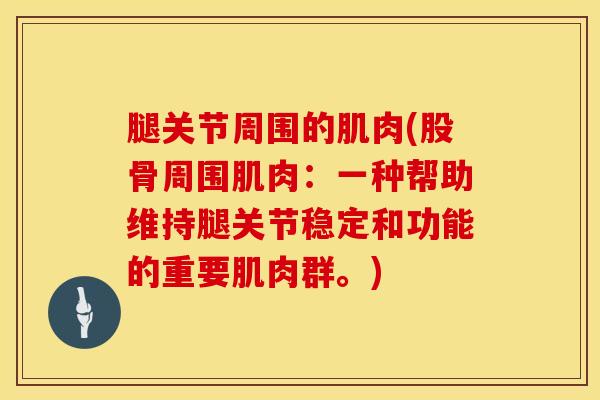 腿关节周围的肌肉(股骨周围肌肉：一种帮助维持腿关节稳定和功能的重要肌肉群。)