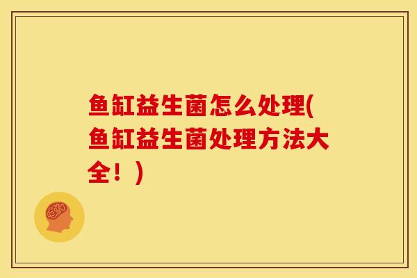 鱼缸益生菌怎么处理(鱼缸益生菌处理方法大全！)