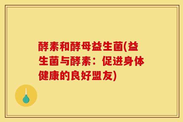酵素和酵母益生菌(益生菌与酵素：促进身体健康的良好盟友)