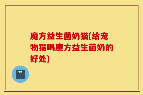 魔方益生菌奶猫(给宠物猫喝魔方益生菌奶的好处)