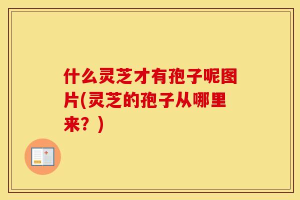 什么灵芝才有孢子呢图片(灵芝的孢子从哪里来？)
