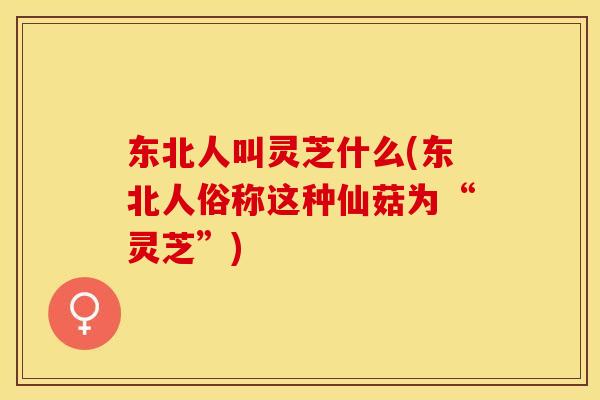 东北人叫灵芝什么(东北人俗称这种仙菇为“灵芝”)