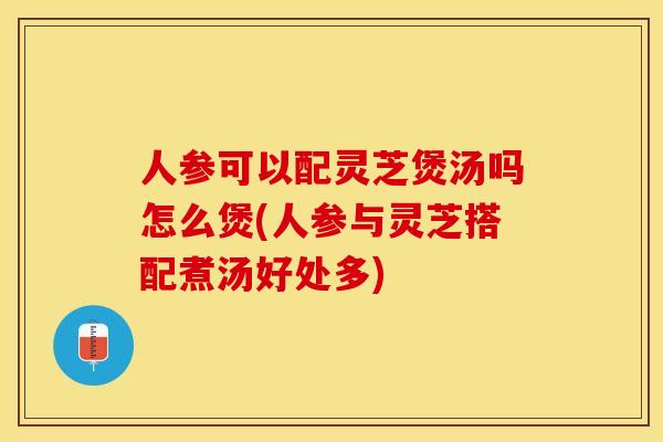 人参可以配灵芝煲汤吗怎么煲(人参与灵芝搭配煮汤好处多)