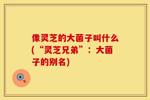 像灵芝的大菌子叫什么(“灵芝兄弟”：大菌子的别名)