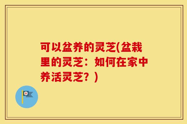 可以盆养的灵芝(盆栽里的灵芝：如何在家中养活灵芝？)