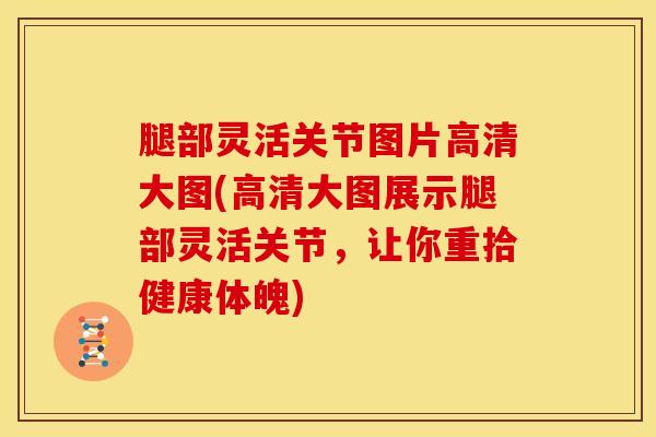 腿部灵活关节图片高清大图(高清大图展示腿部灵活关节，让你重拾健康体魄)