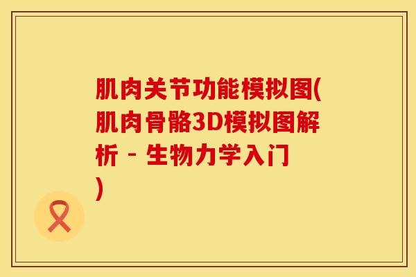肌肉关节功能模拟图(肌肉骨骼3D模拟图解析 - 生物力学入门)