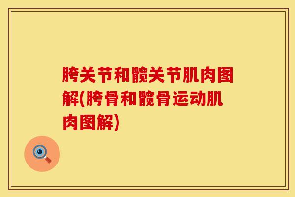 胯关节和髋关节肌肉图解(胯骨和髋骨运动肌肉图解)