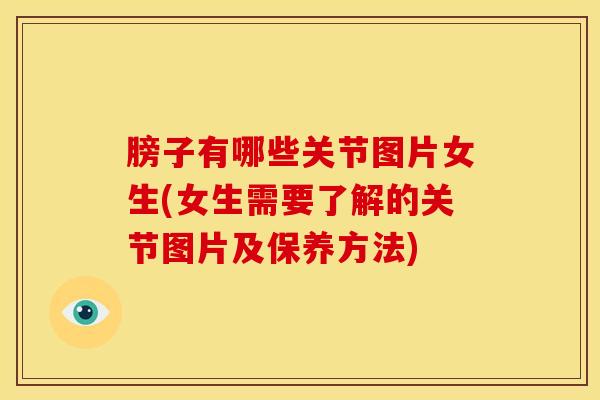 膀子有哪些关节图片女生(女生需要了解的关节图片及保养方法)