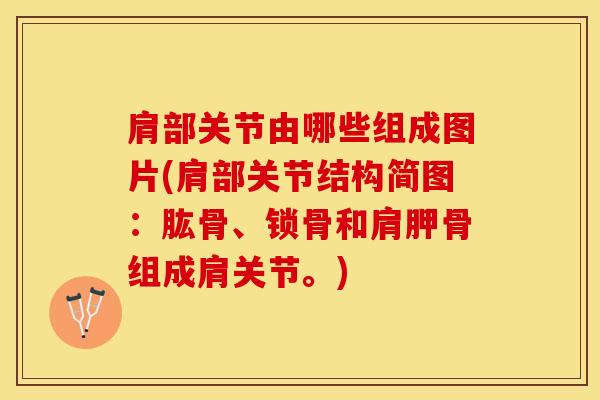 肩部关节由哪些组成图片(肩部关节结构简图：肱骨、锁骨和肩胛骨组成肩关节。)