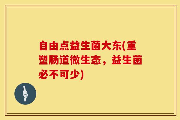 自由点益生菌大东(重塑肠道微生态，益生菌必不可少)