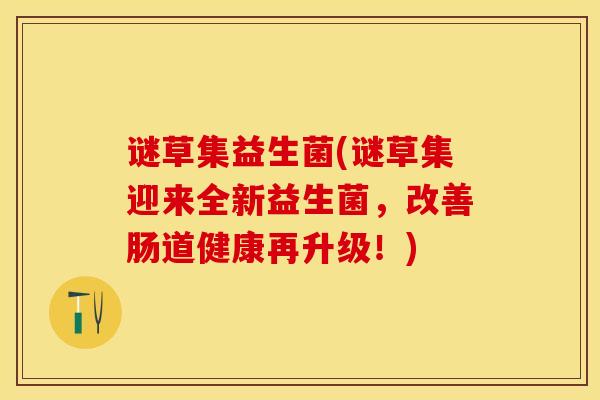 谜草集益生菌(谜草集迎来全新益生菌,改善肠道健康再升级!) 谜草集益生菌(谜草集迎来全新益生菌,改善肠道健康再升级!)