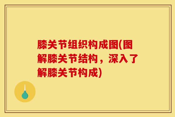 膝关节组织构成图(图解膝关节结构，深入了解膝关节构成)