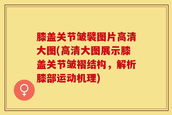 膝盖关节皱襞图片高清大图(高清大图展示膝盖关节皱褶结构，解析膝部运动机理)
