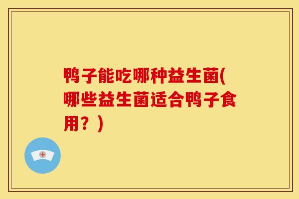 鸭子能吃哪种益生菌(哪些益生菌适合鸭子食用？)