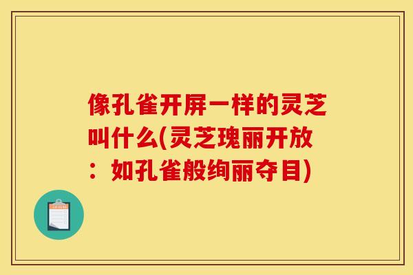 像孔雀开屏一样的灵芝叫什么(灵芝瑰丽开放：如孔雀般绚丽夺目)