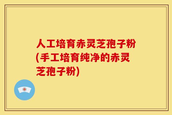 人工培育赤灵芝孢子粉(手工培育纯净的赤灵芝孢子粉)