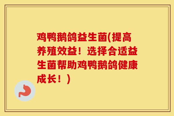 鸡鸭鹅鸽益生菌(提高养殖效益！选择合适益生菌帮助鸡鸭鹅鸽健康成长！)