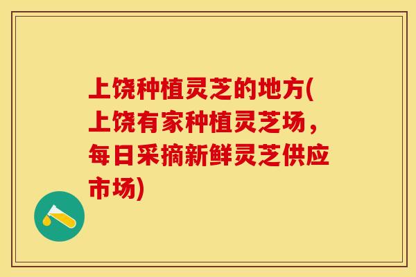 上饶种植灵芝的地方(上饶有家种植灵芝场，每日采摘新鲜灵芝供应市场)