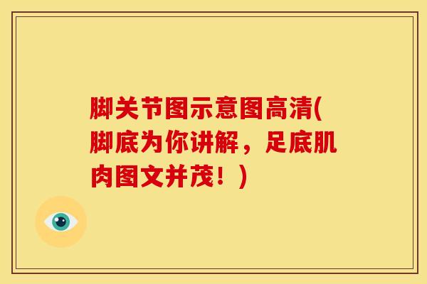 脚关节图示意图高清(脚底为你讲解，足底肌肉图文并茂！)