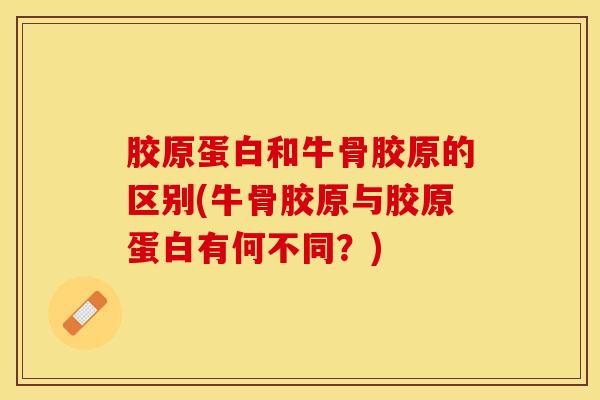 胶原蛋白和牛骨胶原的区别(牛骨胶原与胶原蛋白有何不同？)