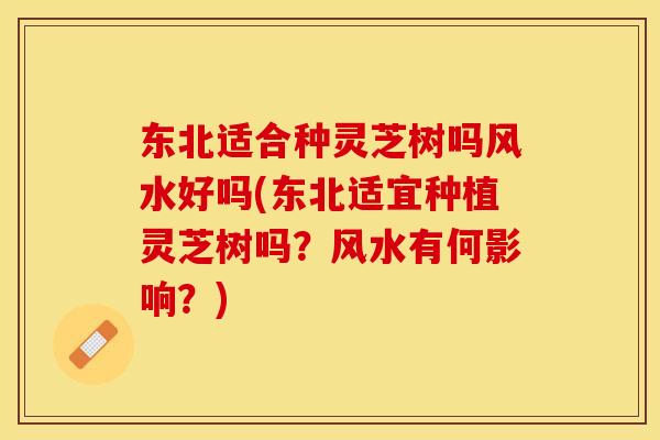 东北适合种灵芝树吗风水好吗(东北适宜种植灵芝树吗？风水有何影响？)
