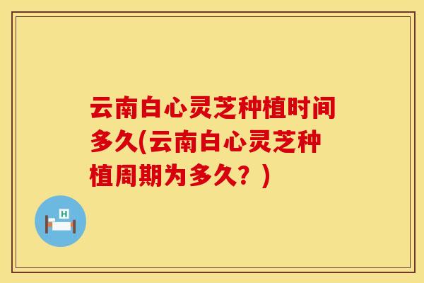 云南白心灵芝种植时间多久(云南白心灵芝种植周期为多久？)