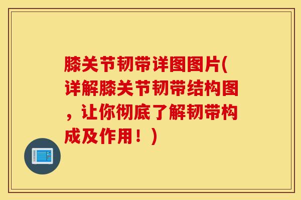 膝关节韧带详图图片(详解膝关节韧带结构图，让你彻底了解韧带构成及作用！)