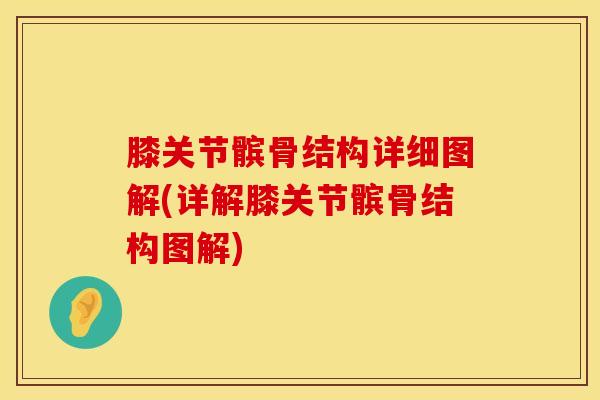 膝关节髌骨结构详细图解(详解膝关节髌骨结构图解)