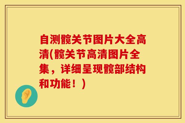 自测髋关节图片大全高清(髋关节高清图片全集，详细呈现髋部结构和功能！)
