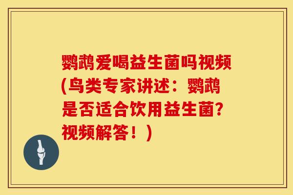 鹦鹉爱喝益生菌吗视频(鸟类专家讲述：鹦鹉是否适合饮用益生菌？视频解答！)