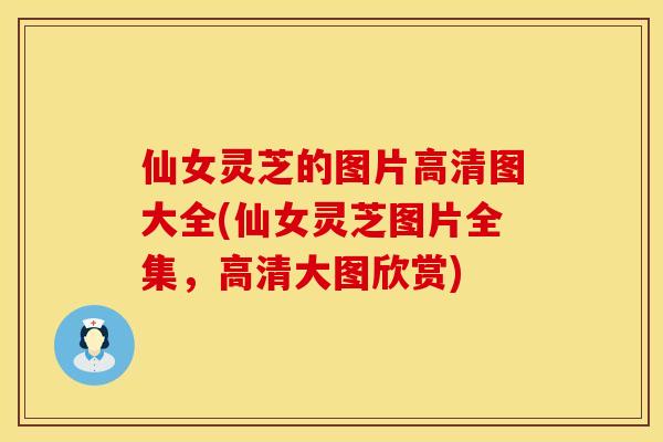 仙女灵芝的图片高清图大全(仙女灵芝图片全集,高清大图欣赏) 仙女灵芝的图片高清图大全(仙女灵芝图片全集,高清大图欣赏)