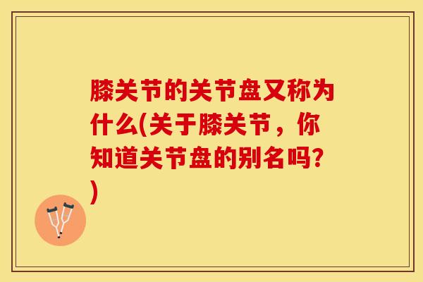 膝关节的关节盘又称为什么(关于膝关节，你知道关节盘的别名吗？)