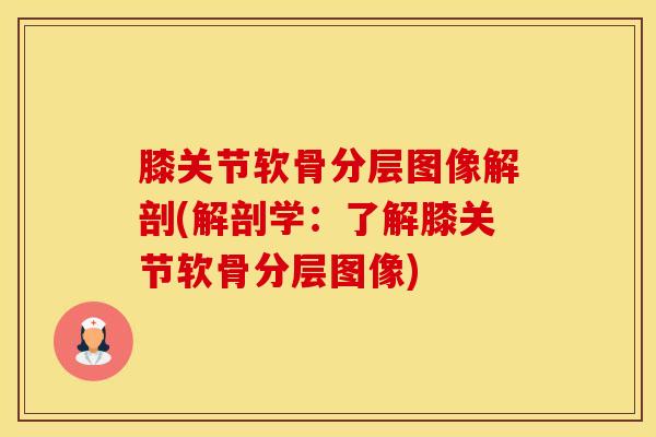 膝关节软骨分层图像解剖(解剖学：了解膝关节软骨分层图像)