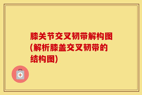 膝关节交叉韧带解构图(解析膝盖交叉韧带的结构图)