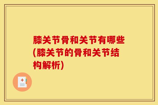 膝关节骨和关节有哪些(膝关节的骨和关节结构解析)