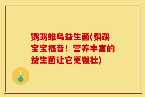 鹦鹉雏鸟益生菌(鹦鹉宝宝福音！营养丰富的益生菌让它更强壮)