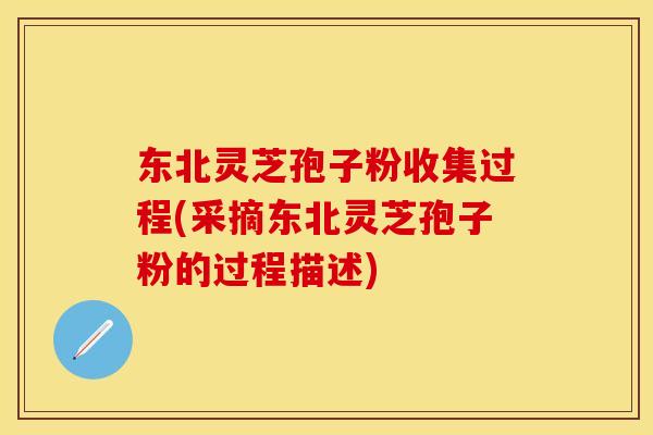 东北灵芝孢子粉收集过程(采摘东北灵芝孢子粉的过程描述)