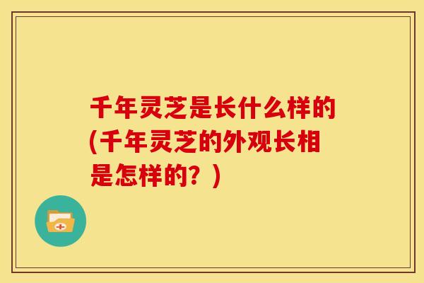 千年灵芝是长什么样的(千年灵芝的外观长相是怎样的？)