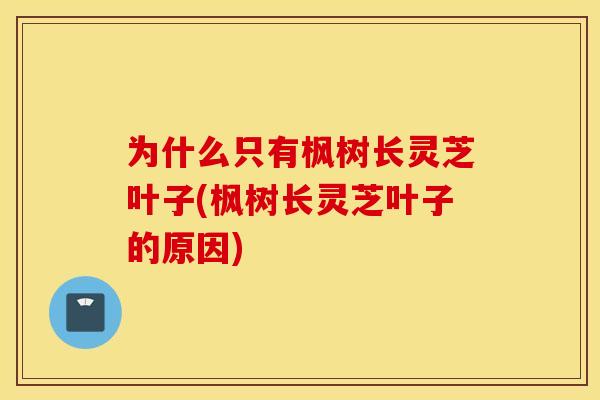 为什么只有枫树长灵芝叶子(枫树长灵芝叶子的原因)