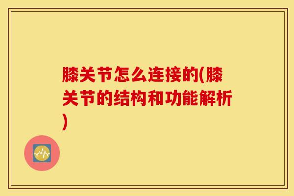 膝关节怎么连接的(膝关节的结构和功能解析)