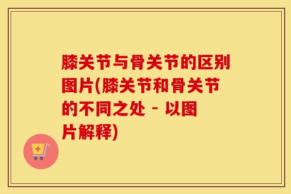 膝关节与骨关节的区别图片(膝关节和骨关节的不同之处 - 以图片解释)