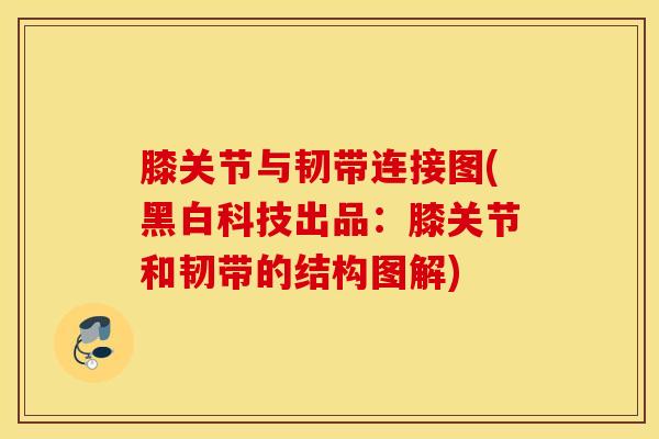膝关节与韧带连接图(黑白科技出品：膝关节和韧带的结构图解)