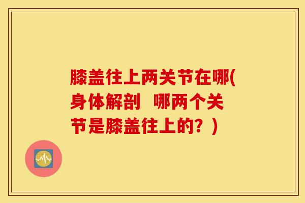 膝盖往上两关节在哪(身体解剖  哪两个关节是膝盖往上的？)