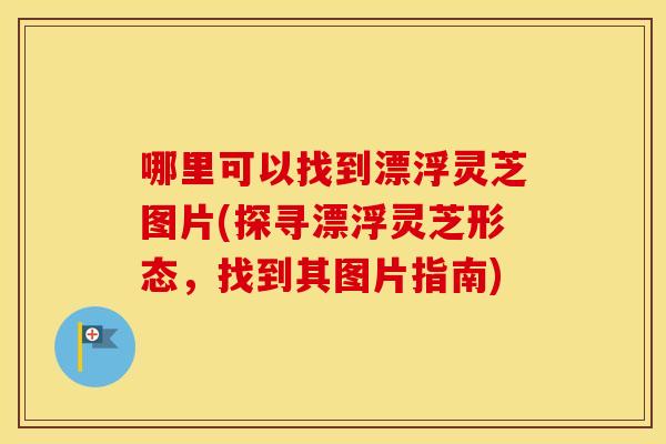 哪里可以找到漂浮灵芝图片(探寻漂浮灵芝形态，找到其图片指南)